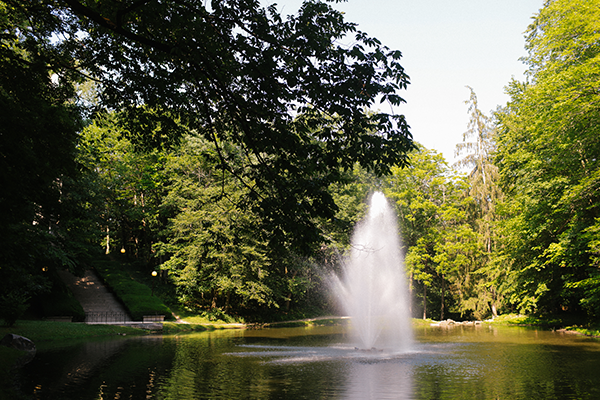 树木环绕的小池塘里升起的喷泉